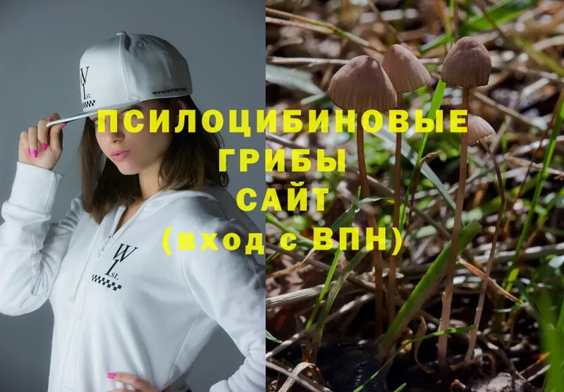 Галлюциногенные грибы Magic Shrooms  Оханск 